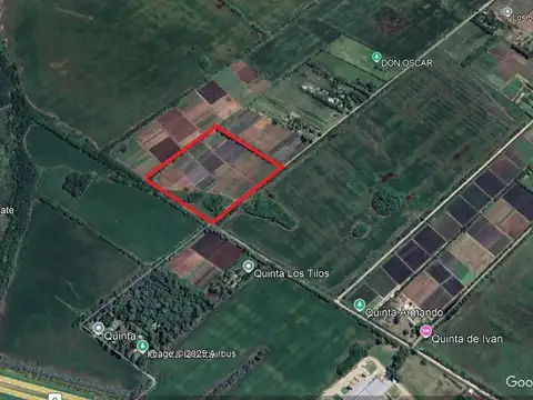 Galpon en Venta 260  mts Fondo