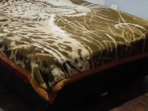 Se venden dos casas, juntas con entrada independiente en lote de 10x50. en Isidro Casanova.