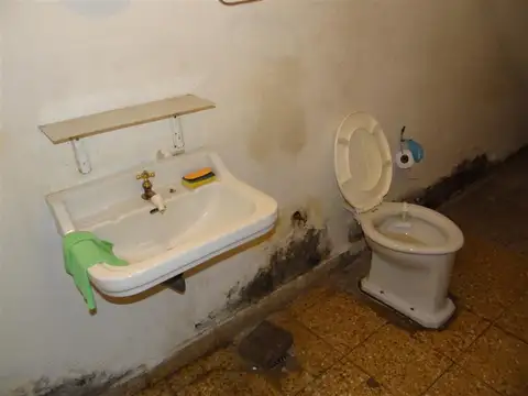 Local en Alquiler A Estrenar