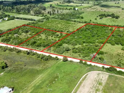 Campo en venta en Colonia Hughes