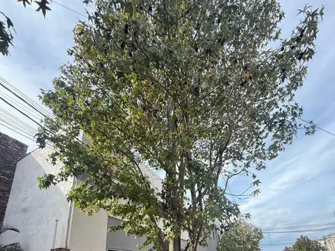 Departamento en Venta al Sur