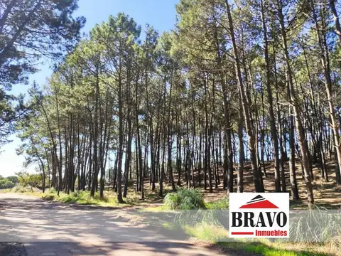 LOTE MULTIFAMILIAR HOTELERO - Mar de las Pampas |