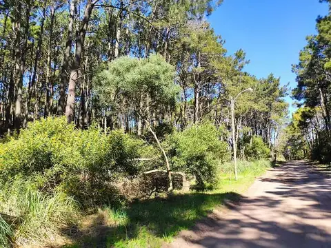 Los Condores e/ Williams y Guiraldez 100