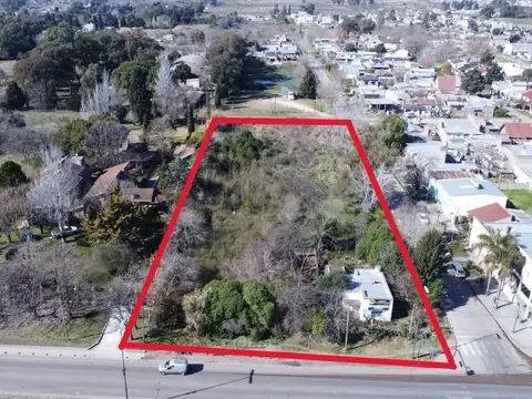 Terrenos y Lotes en Venta en Olmos, Lisandro ,ap. [Cod: 675]