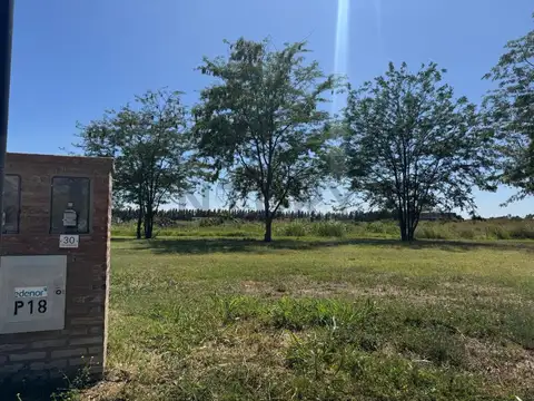 Gaspar campos 100, Piso 0