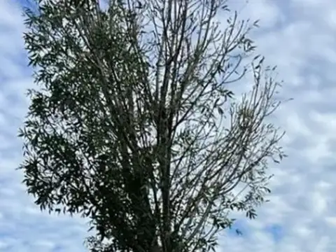 Terreno en Venta en Puertos - Barrio Costas, USD 163.000