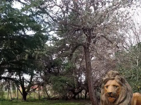 Edificio Comercial en venta - Dúplex - 14.978Mts2 - Berazategui