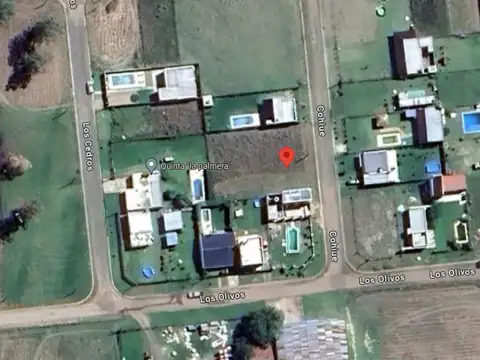 Coihues e/ Los Olivos y Las Caobas