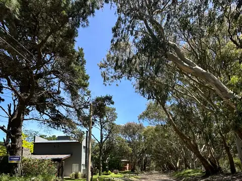 Terreno en Venta 15  mts Frente