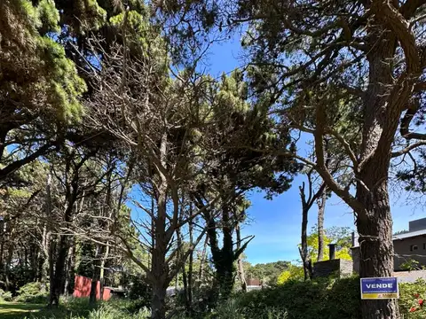 Terreno en venta Avenida 1 e/ Las Camelias y Las Orquídeas, Costa del Este (160801)