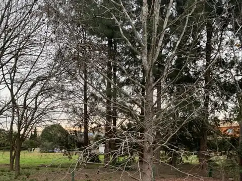 Lote Venta de 1100 m2 en San Francisco CC Manzanares Pilar