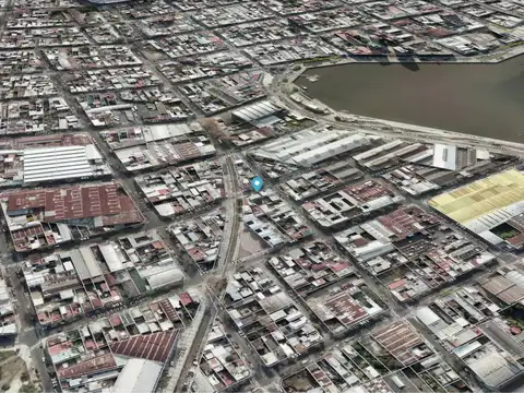 Alfredo Palacions 810