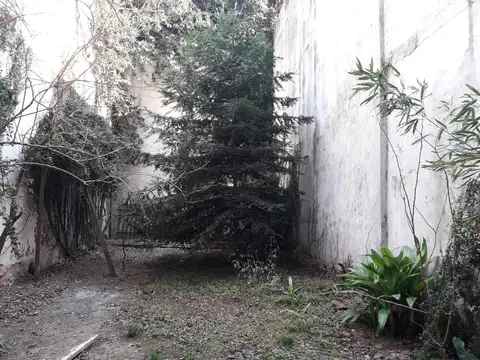 Bauness 2500, Piso PB