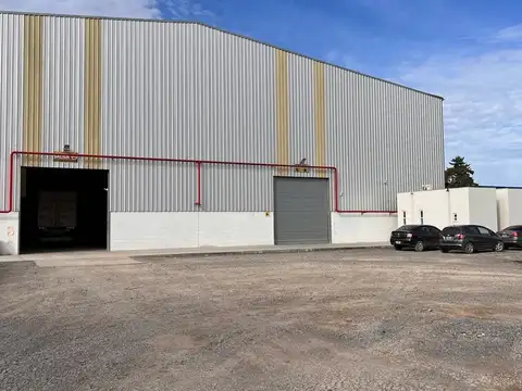 Galpon en Alquiler 50  mts Frente