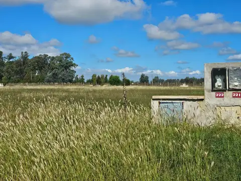 Avenida Beschtedt  al 2500