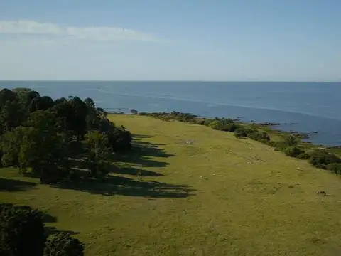 Camino Sanguinetti al 5500 CH 16