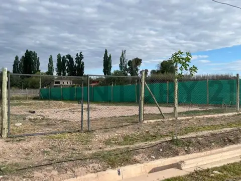 cruz videla 100, Piso 0