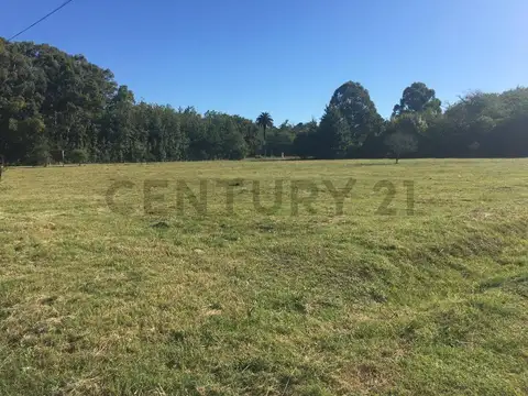 Terreno en Venta de 656,0 m2