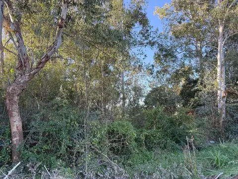 Lote de terreno en Venta. 760 m2. Barrio Parque Sakura, Exaltación de la Cruz.