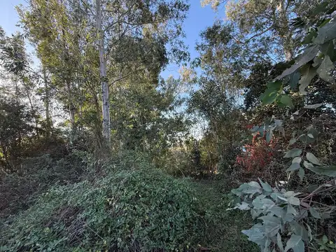 Terreno en Venta 38  mts Fondo