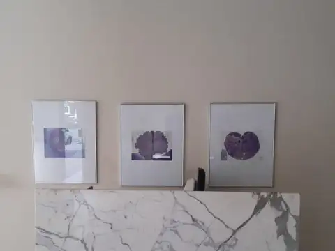 Departamento en Alquiler en Nuñez, USD 900