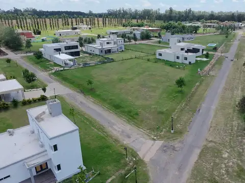 Haras de Funes - Lote 142