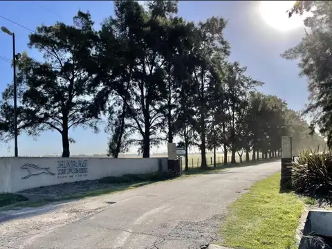 Haras de Funes - Lote 142