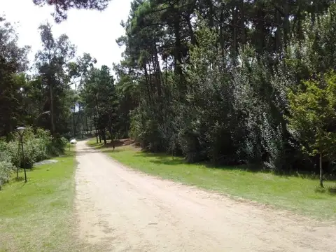 Terreno en Venta de 1249,0 m2