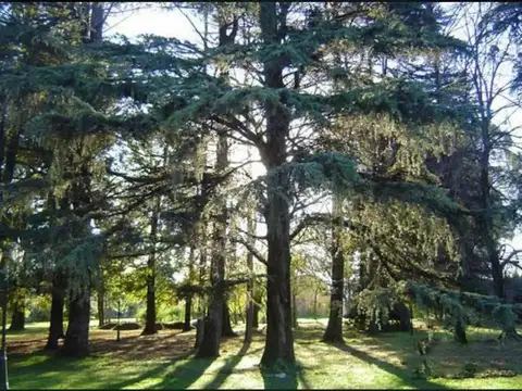 Terreno en Venta de 881,0 m2