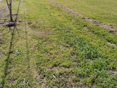 Terreno en Venta de 341,0 m2