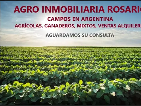 La Banda 4000 Hec Vta 4000