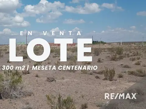 VENTA LOTE MESETA DE CENTENARIO