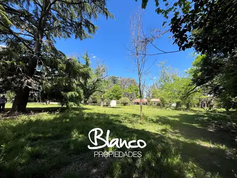 Lisandro de la Torre -