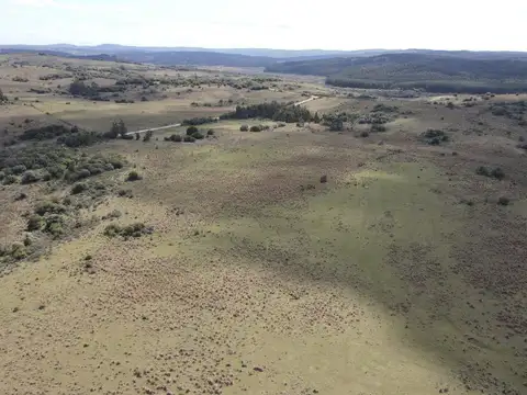 Campo de 50 ha ganadero en Maldonado, Garzon