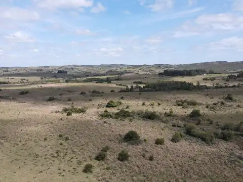 Campo de 50 ha ganadero en Maldonado, Garzon