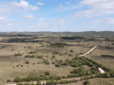 Campo de 50 ha ganadero en Maldonado, Garzon