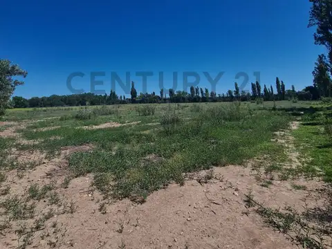 Avecillas 1400, Piso 0