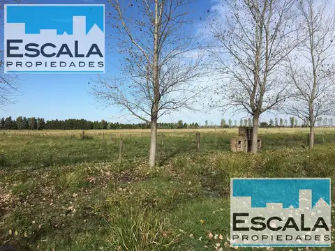 Terreno en Venta de 19374,0 m2