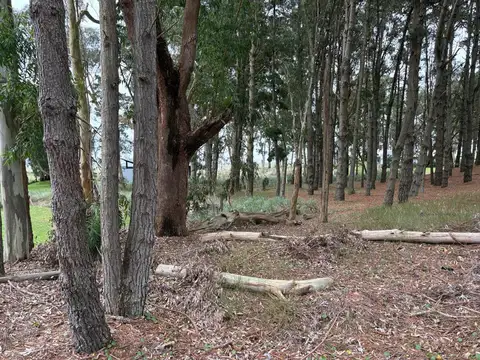 Terreno en Venta 19  mts Frente