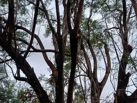 Aloja - Vendo o permuto Casa, Dptos. y Local comercial en pleno centro, San Marcos Sierras