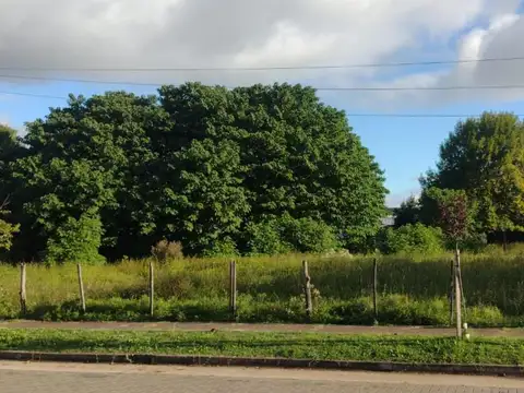 Terreno en venta - 1.248Mts2 - Villa Larroque