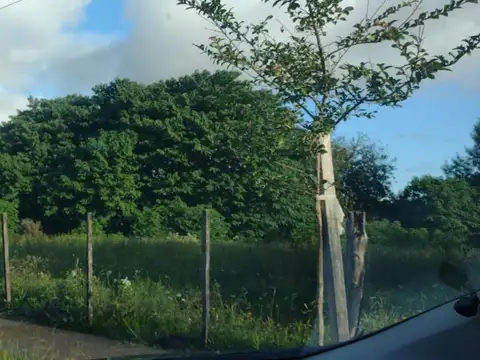 Tratado del Pilar e/ Juan De Zan y Eva Perón