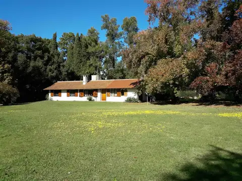 ARECO Y CALLE 143, LOBOS