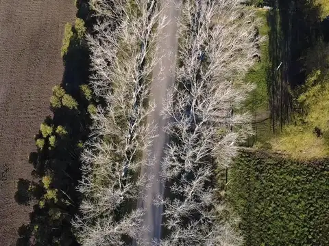 VENTA   LOTE SECTOR QUINTAS 1800MTS2  AYACUCHO