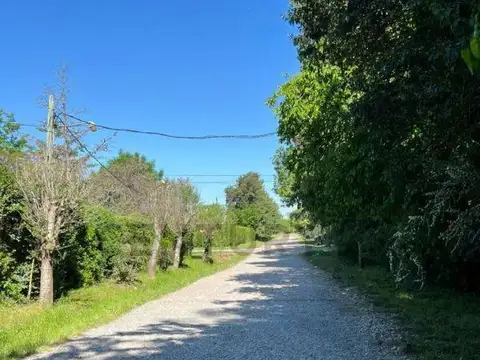 Lote en venta en Villa Elisa