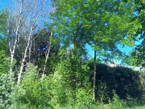 133 Entre 422 y 423 , Piso 0