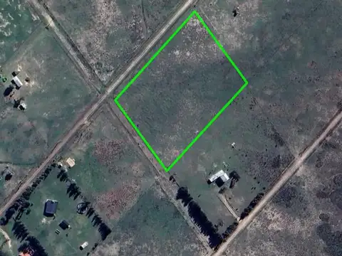 Juan María Gutiérrez y Benito Lynch