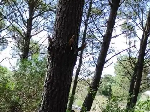 Terreno en Venta en Monte Hermoso, USD 50.000