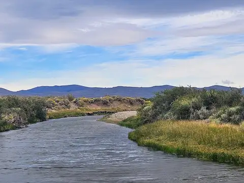 Excelente campo productivo en Precordillera de Chubut