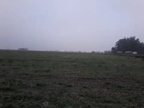 Campo en Roldán sobre Ruta AO12